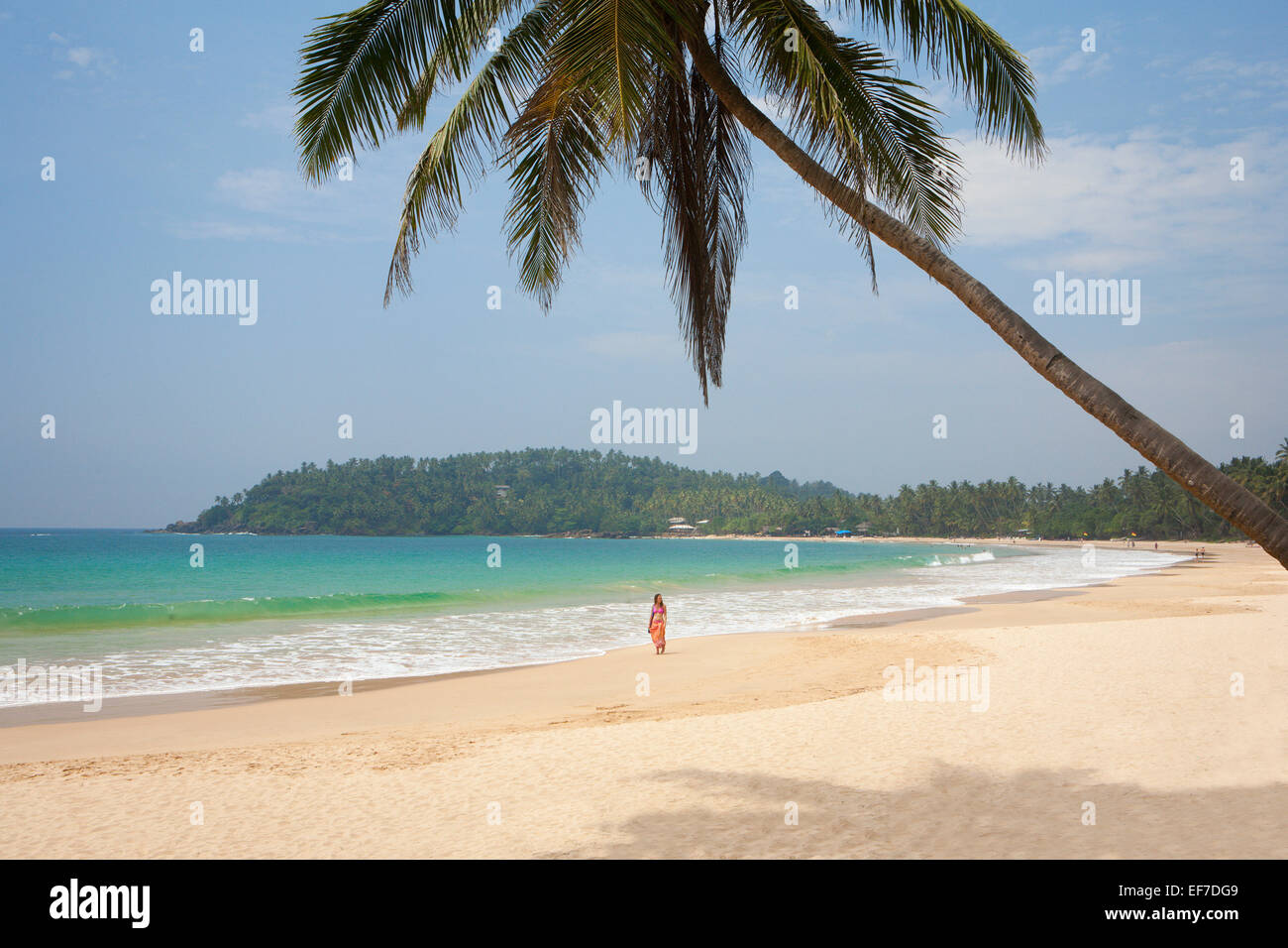 TOURIST WALKING ALONG SANDY BEACH WITH PALM TREE Stock Photo