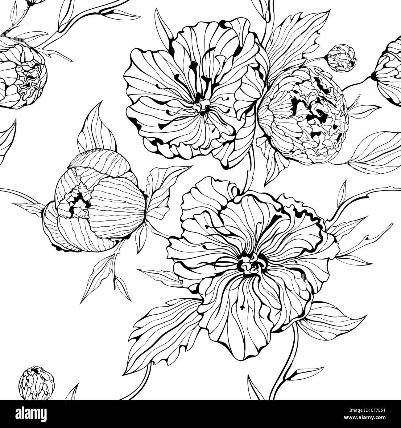 Vector black and white seamless background with gentle peony flowers Stock Vector
