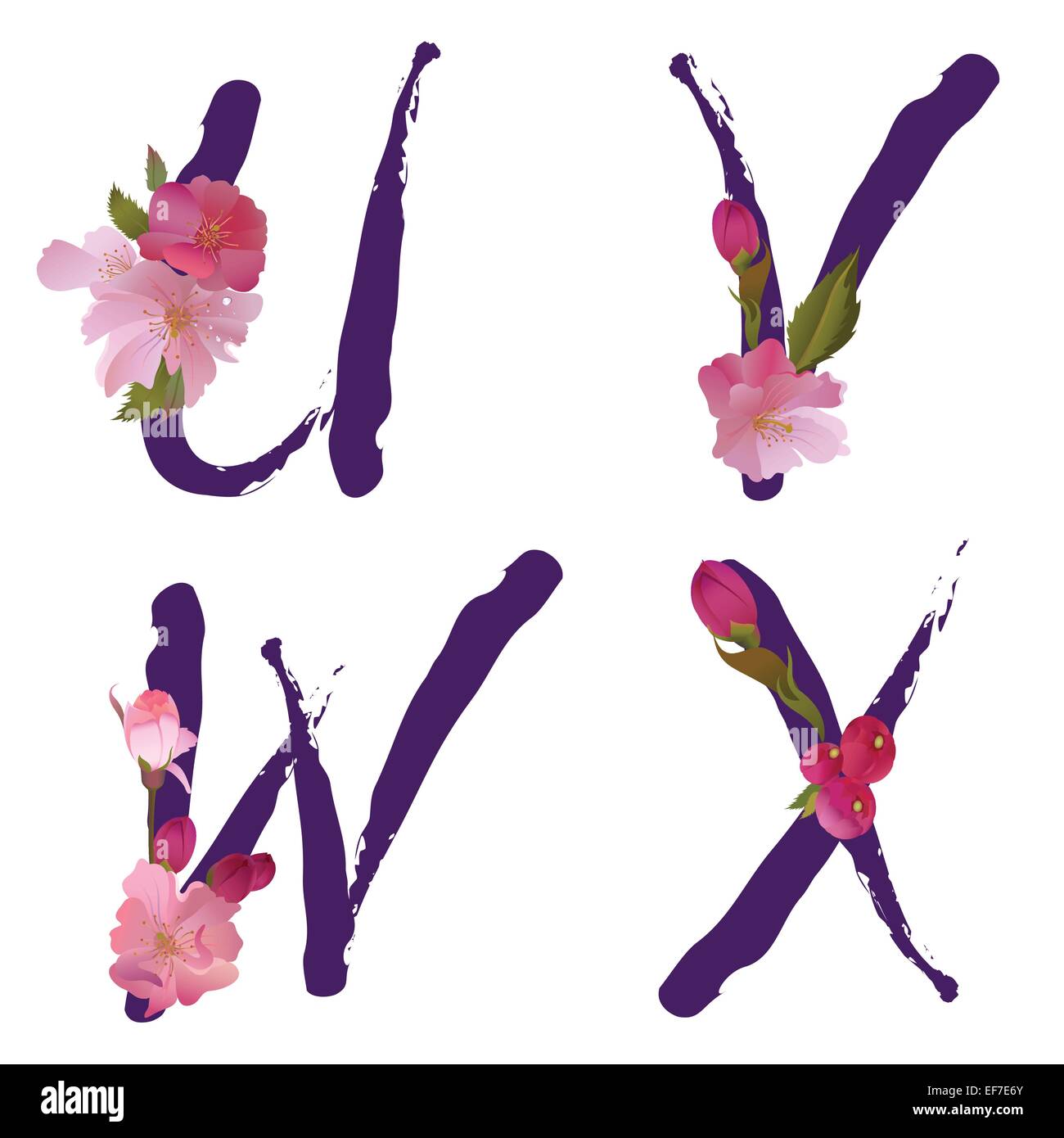 Vector spring alphabet with gentle sakura flowers letters U,V,W,X like ...