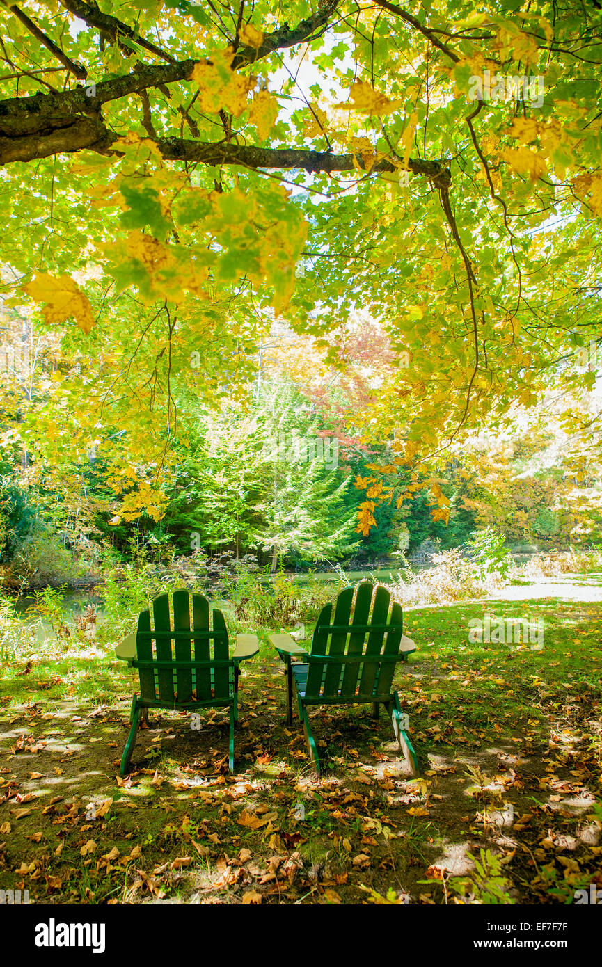 Two green Adirondack chairs sit under a Maple tree adjacent to a small pond in a woodland setting in Vermont, United States. Stock Photo