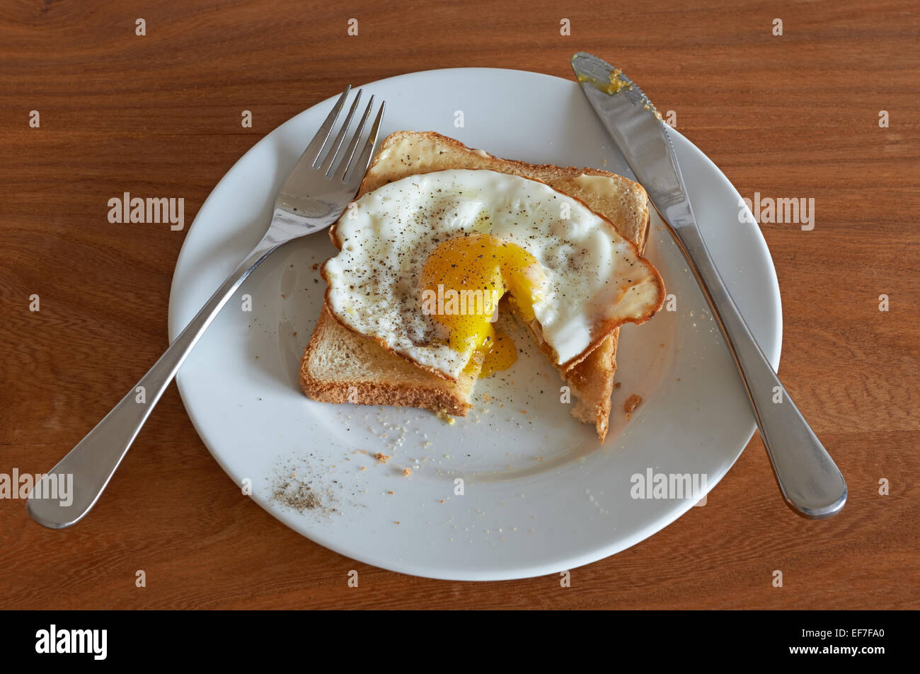 Fried egg on toast Stock Photo Alamy