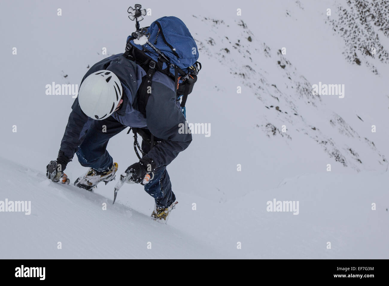 A solo winter mountaineer climber exiting No 1 Gully onto the summit of Helvellyn in the English Lake District Stock Photo