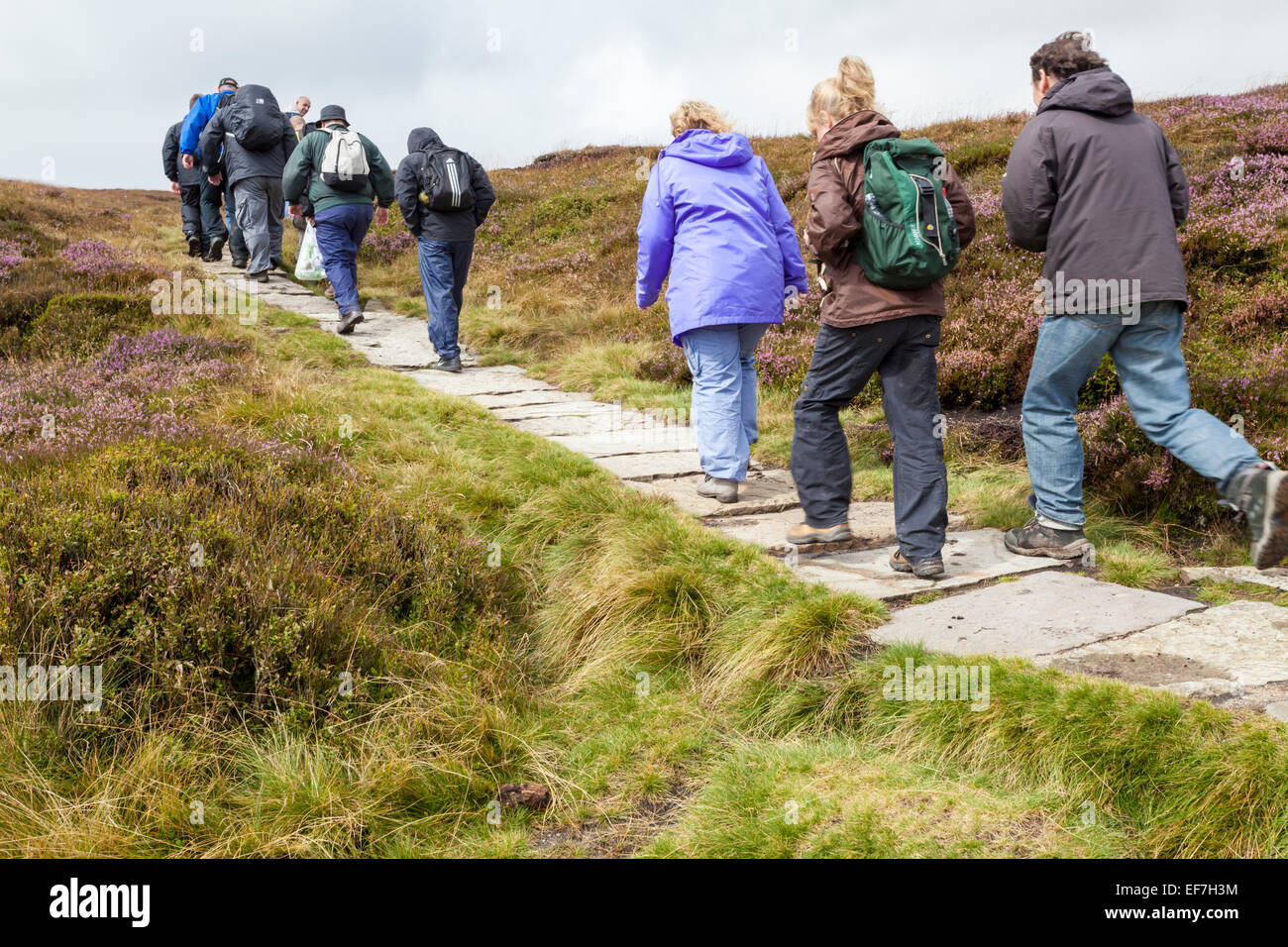 A stone flag path across moorland to help control erosion of moors by hiking. Kinder Scout, Peak District National Park, Derbyshire, England, UK Stock Photo