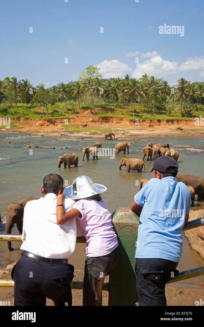 TOURISTS WATCHING ELEPHANTS BATHE IN THE RIVER Stock Photo