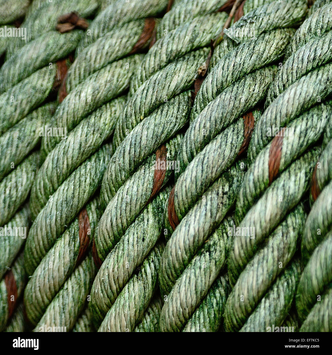Old background on braided rope Stock Photo