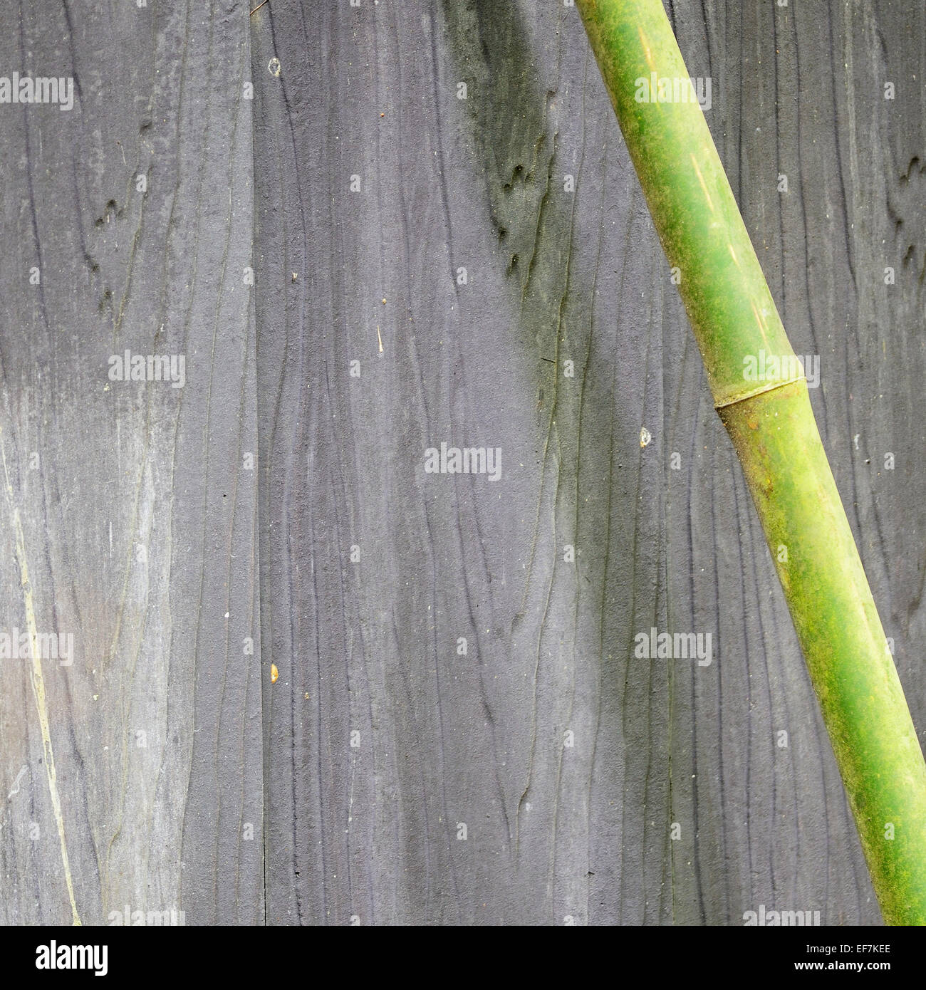 Old wood wall background texture Stock Photo
