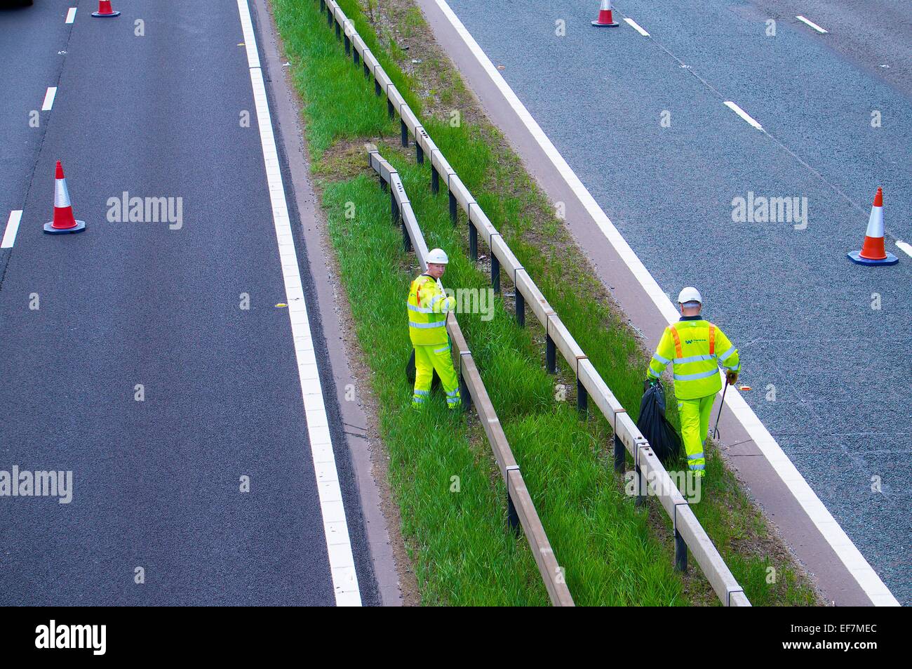 Highways Agency litter picking, M6 Cumbria England UK. Stock Photo