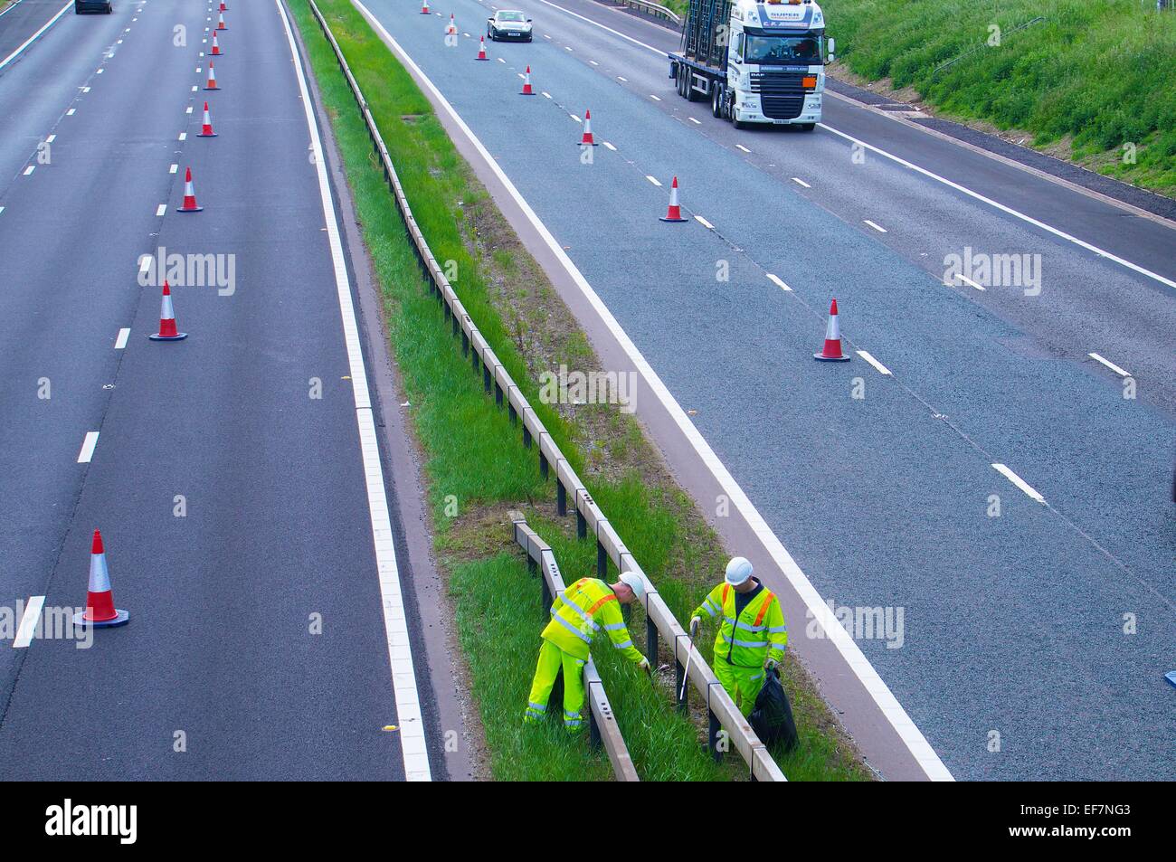 Highways Agency litter picking, M6 Cumbria England UK Stock Photo Alamy
