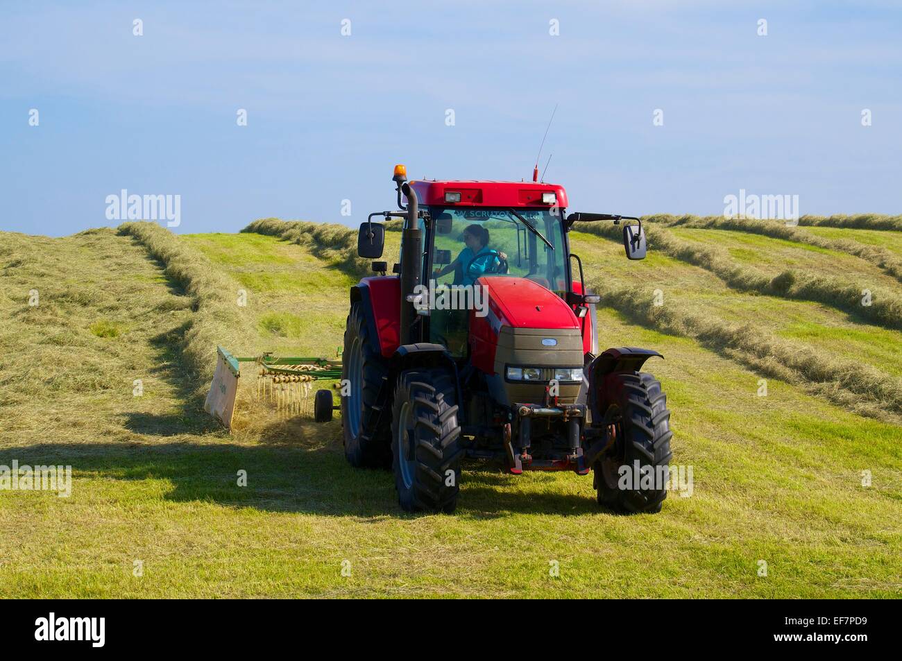 Tractor raking hay. Northumberland, England, UK Stock Photo - Alamy