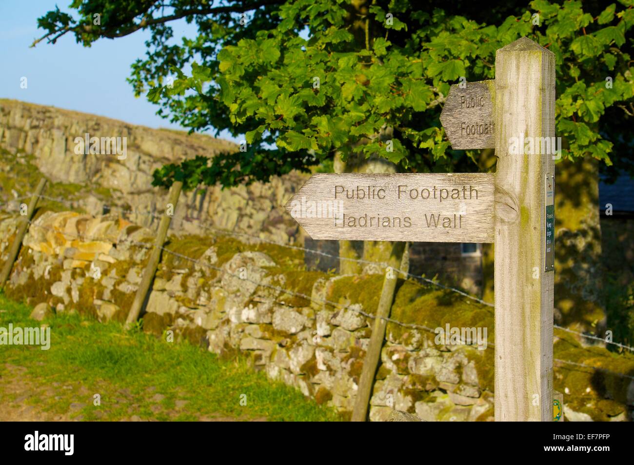 Finger sign post of public footpath on Hadrian’s Wall National Trail Northumberland England UK. Stock Photo
