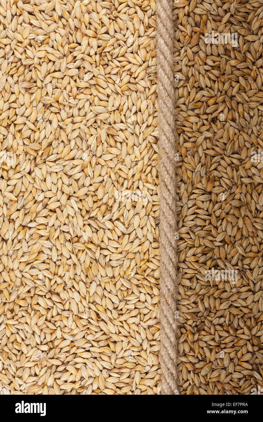 Illuminated and dark barley and rope, for the menu Stock Photo - Alamy