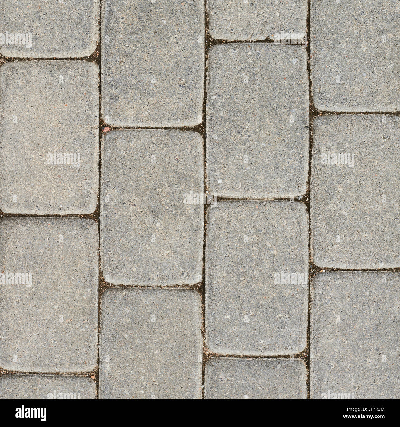 Tiled with paving stone bricks path Stock Photo