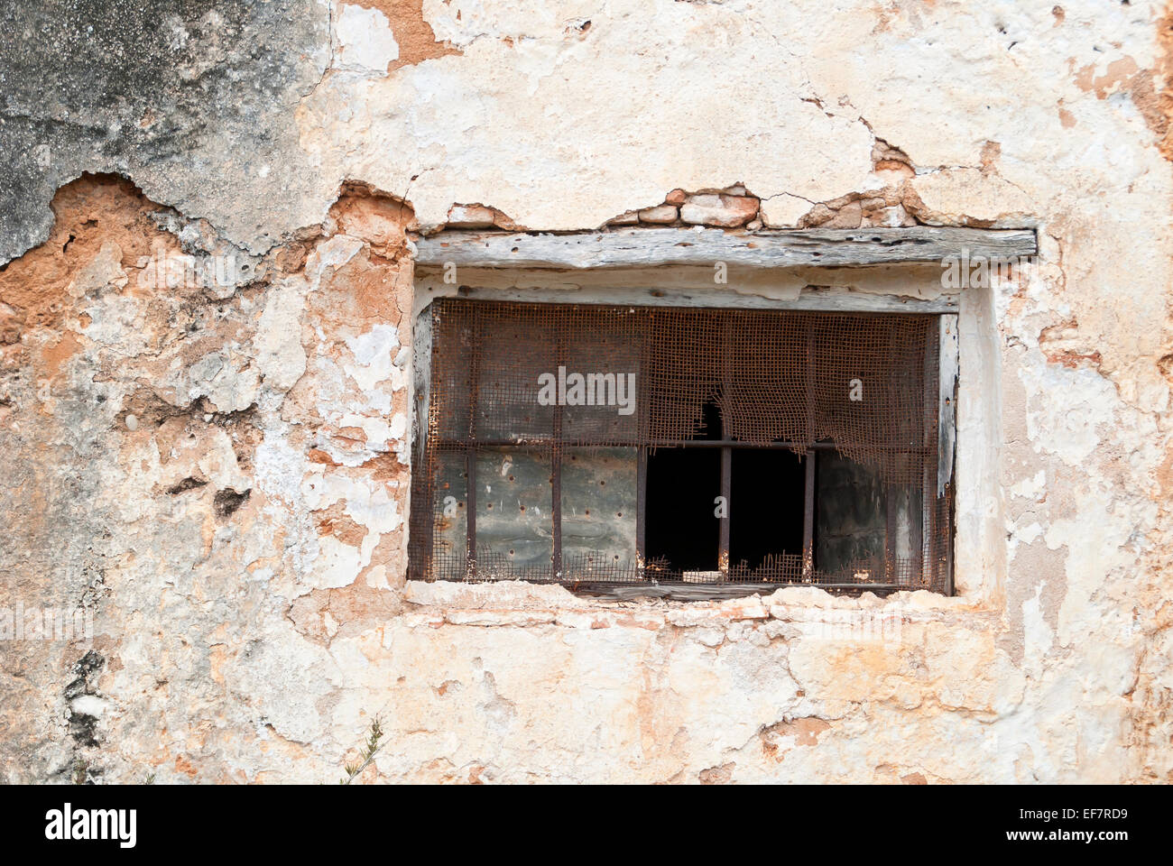 Window of an old house in the woods Stock Photo