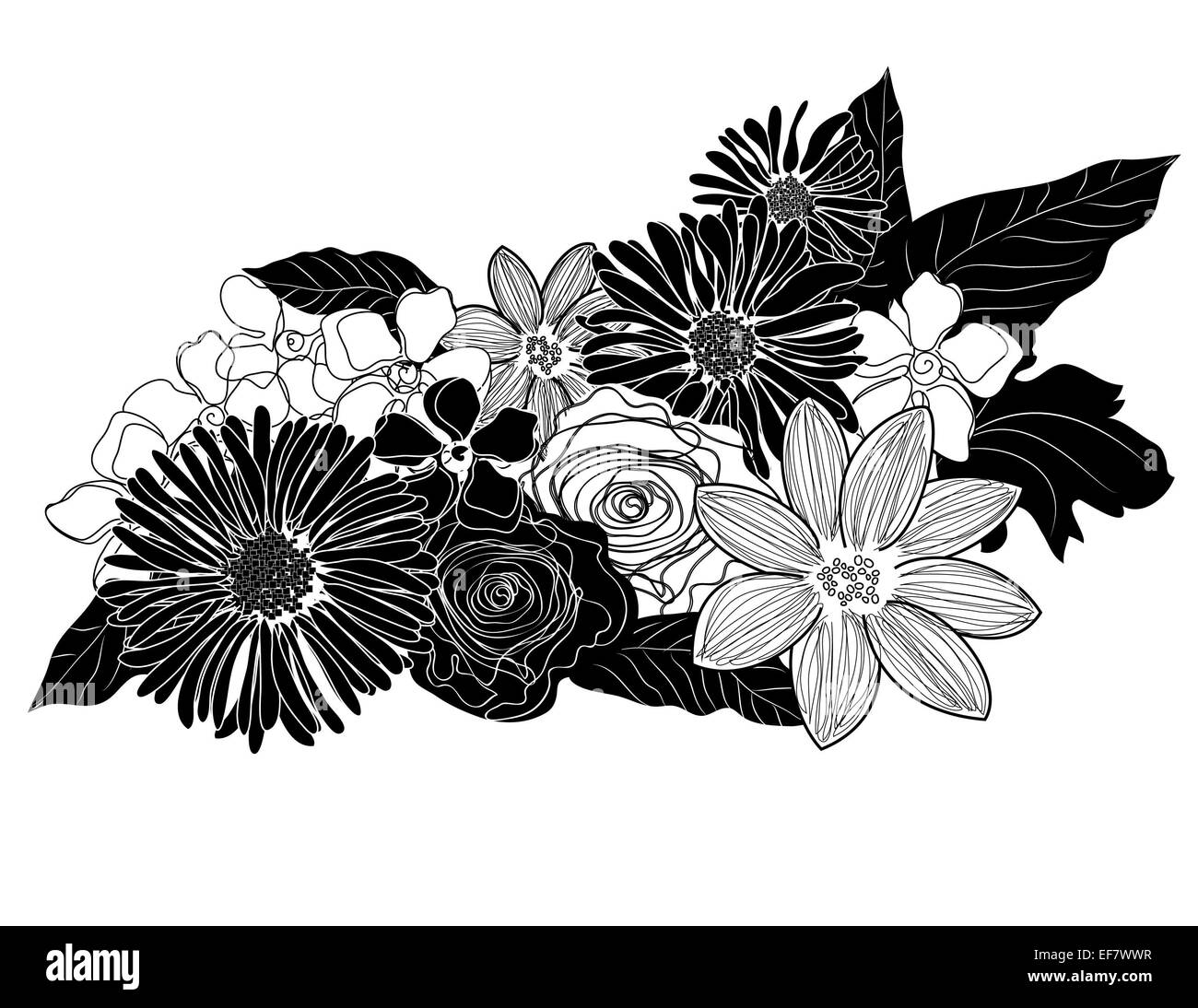 Delicate black and white illustration of a floral arrangement for decoration and romantic motifs Stock Photo