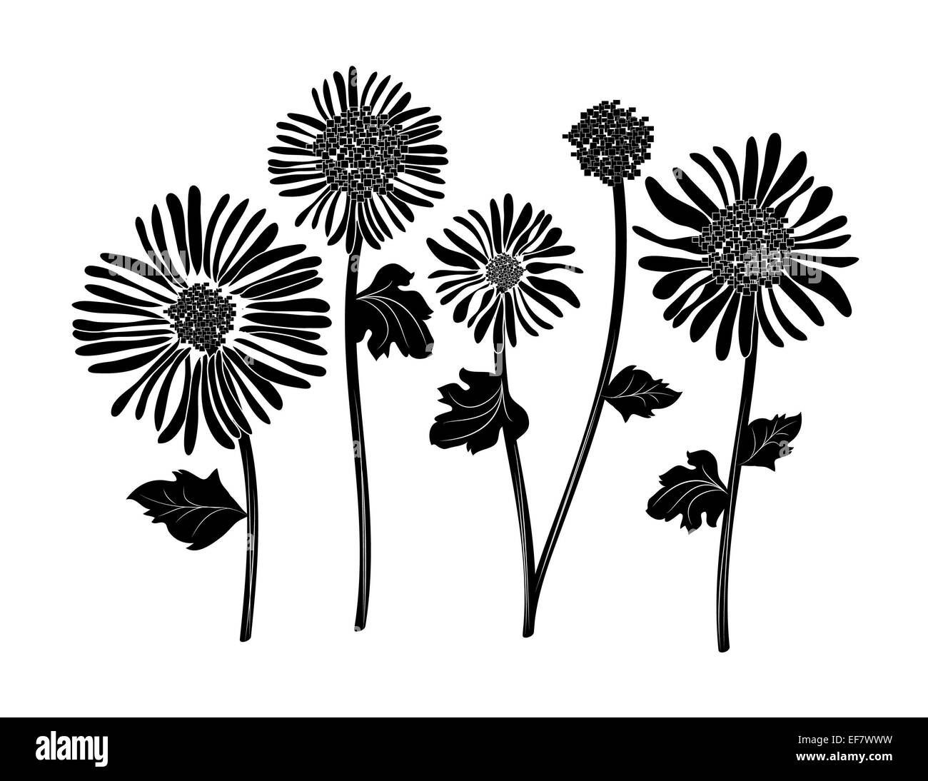 Black and white illustration of 5 happy flower petals and stems waving in the wind for decorative purposes and romantic motifs Stock Photo