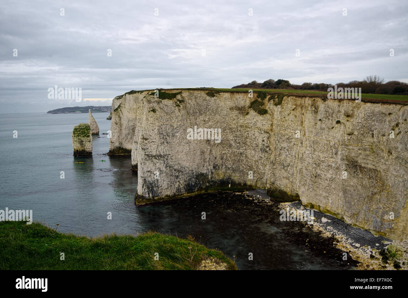 Old Harry's Rocks, Jurassic Coast, Dorset Stock Photo - Alamy