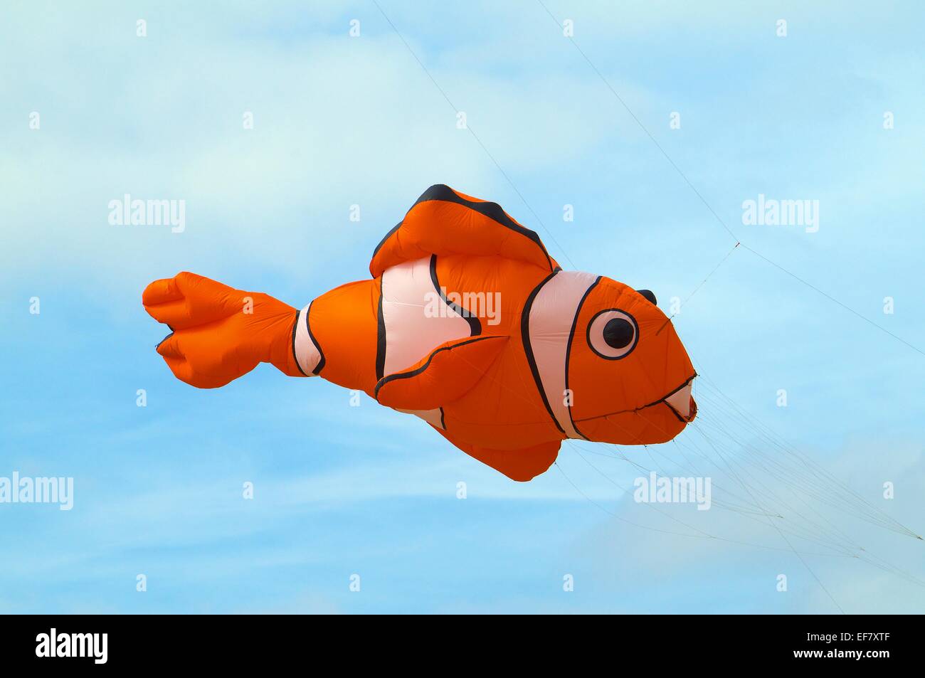 Clown fish kite. Silloth Kite Festival, Silloth, Cumbria, England