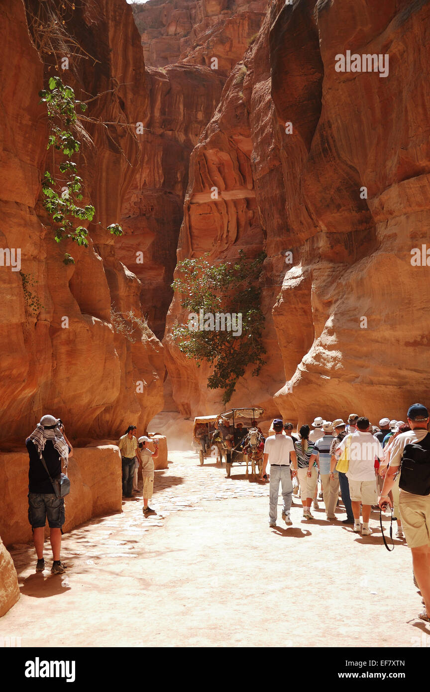 Petra canyon hi-res stock photography and images - Alamy