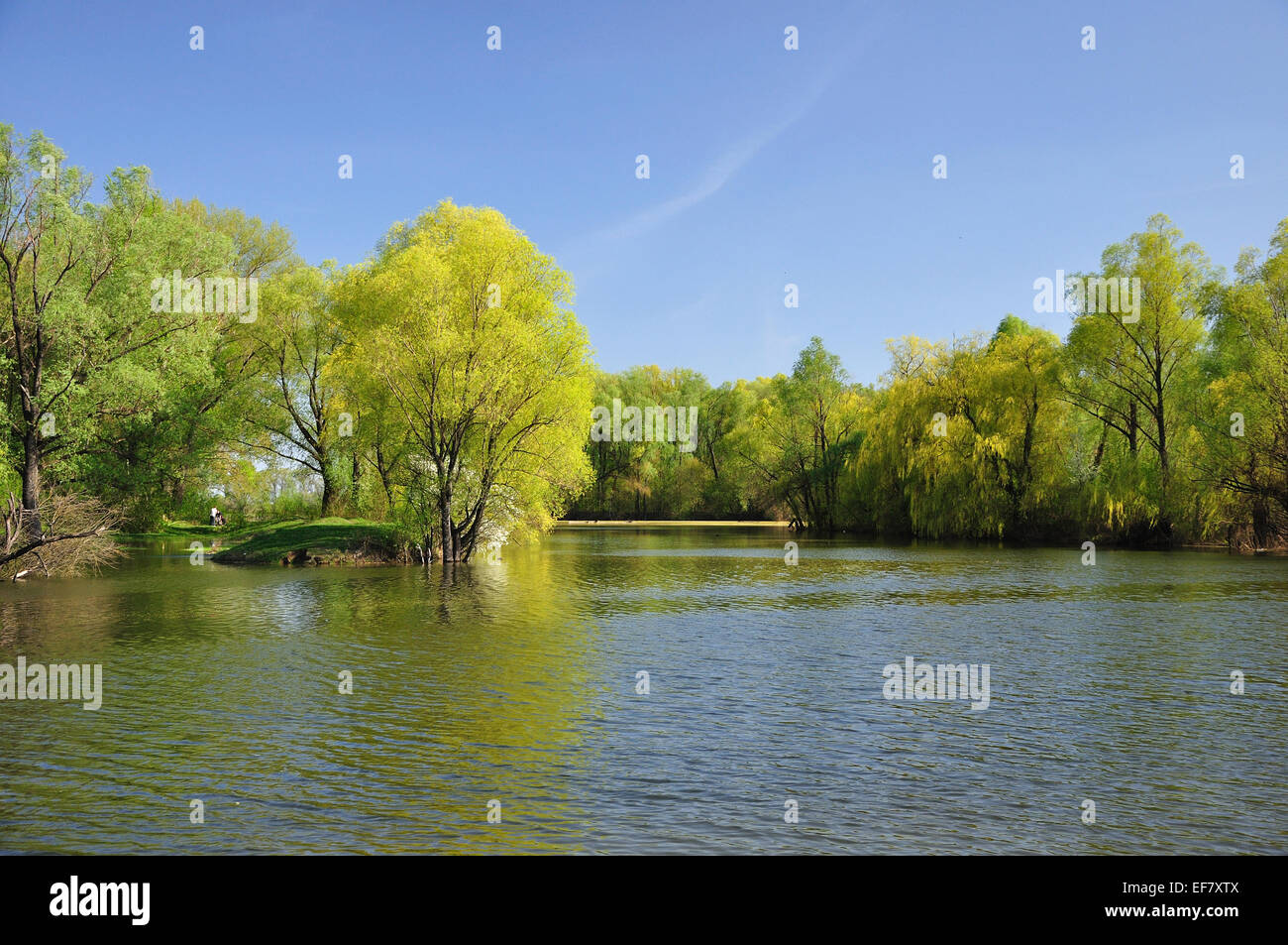 Pond with bright green banks Stock Photo