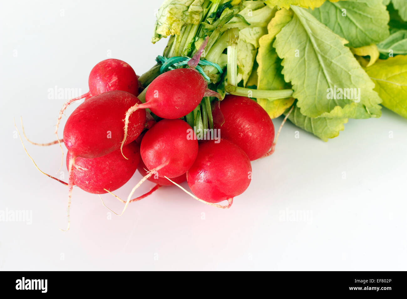 bundle of radishes Stock Photo