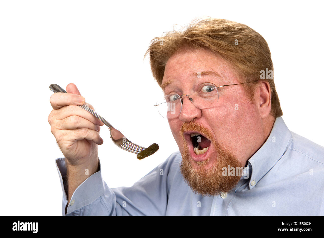 Redheaded mature man is about to eat a pickle impaled on a fork Stock