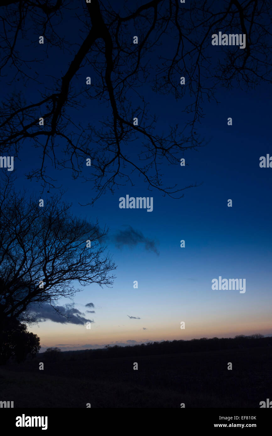 Night sky rural Norfolk trees fields Stock Photo