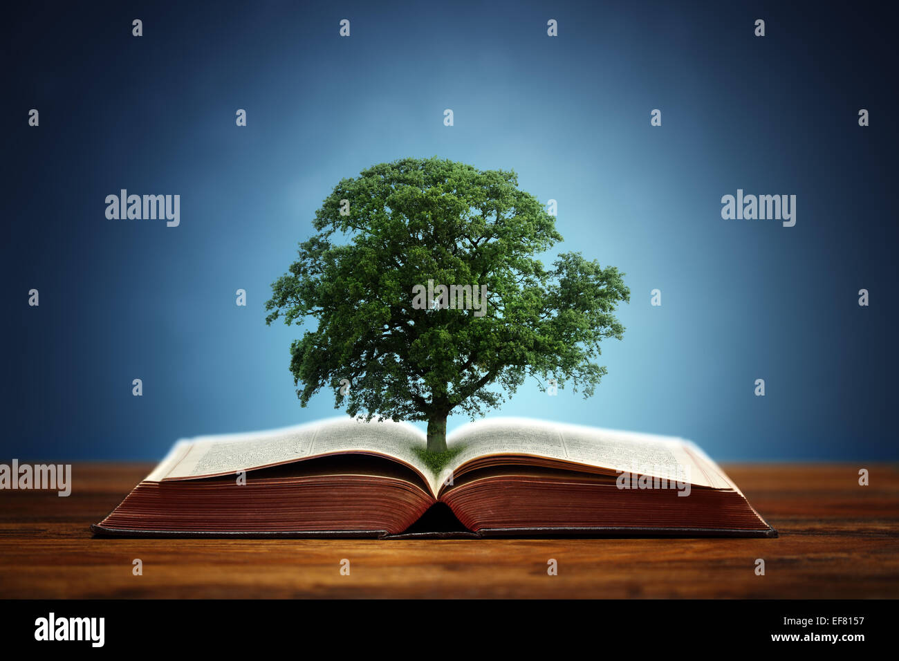 Tree of knowledge Stock Photo