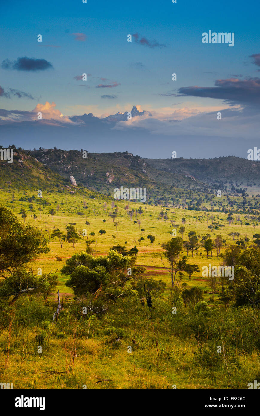 The Lakipia district in the central region of Kenya, on the equator looking south towards Mount Kenya Stock Photo