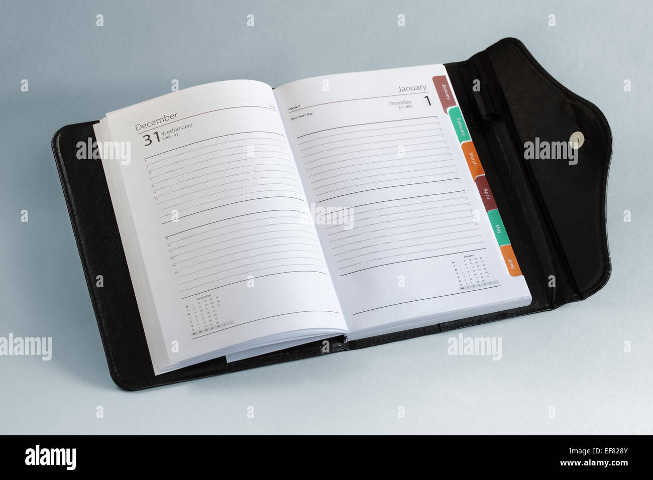 Diary or personal organizer planner open to blank page Stock Photo