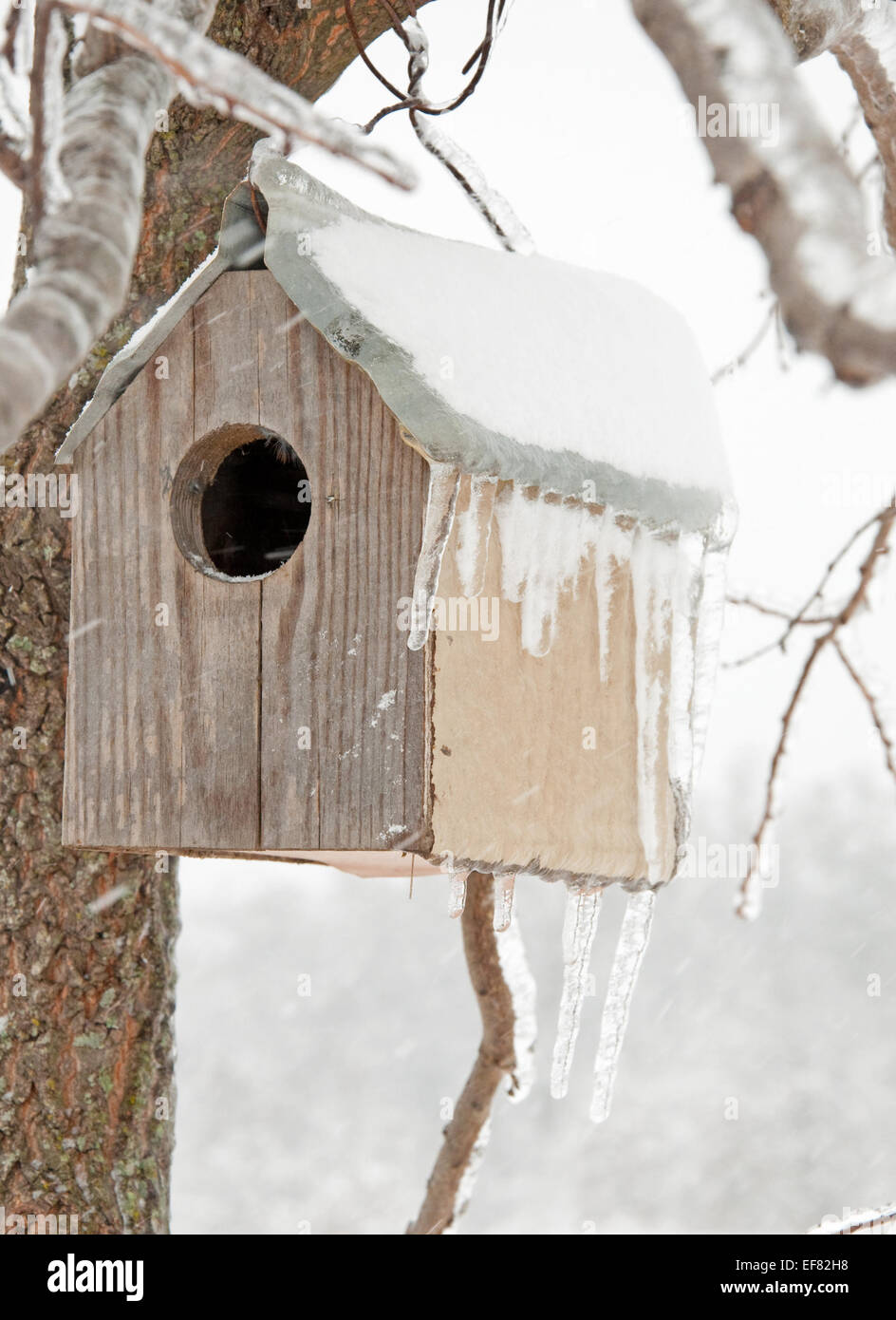 A bird house after an ice storm with icicles hanging off its roof, with a snowstorm blowing snow on it Stock Photo