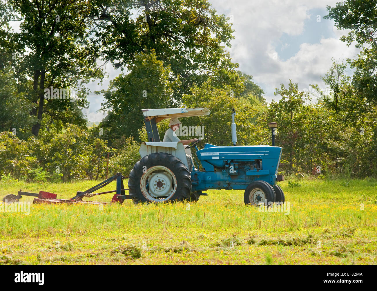 Mowing weeds in the pasture with a tractor and a bush hog on a sunny summer day Stock Photo