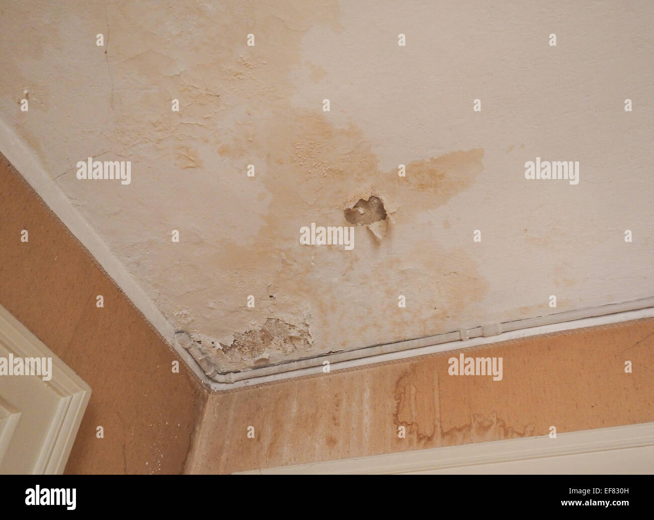 Damage Caused By Damp And Moisture On A Ceiling Stock Photo