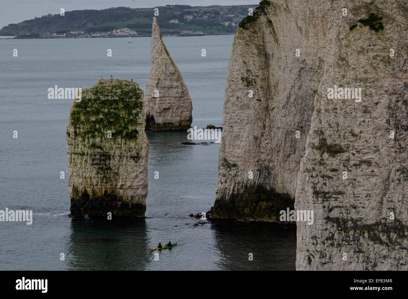 Old Harry's Rocks, Jurassic Coast, Dorset Stock Photo - Alamy