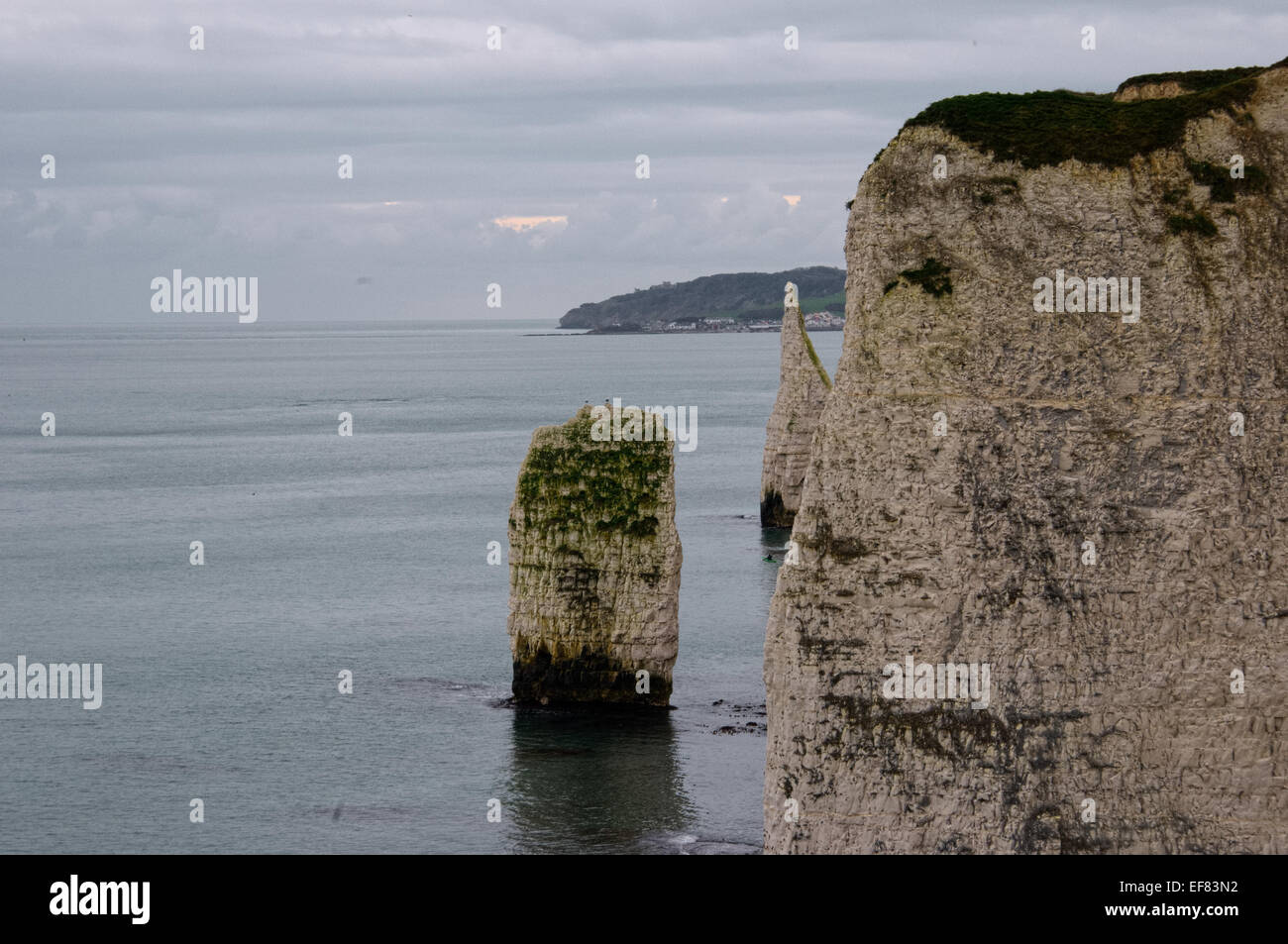 Old Harry's Rocks, Jurassic Coast, Dorset Stock Photo - Alamy