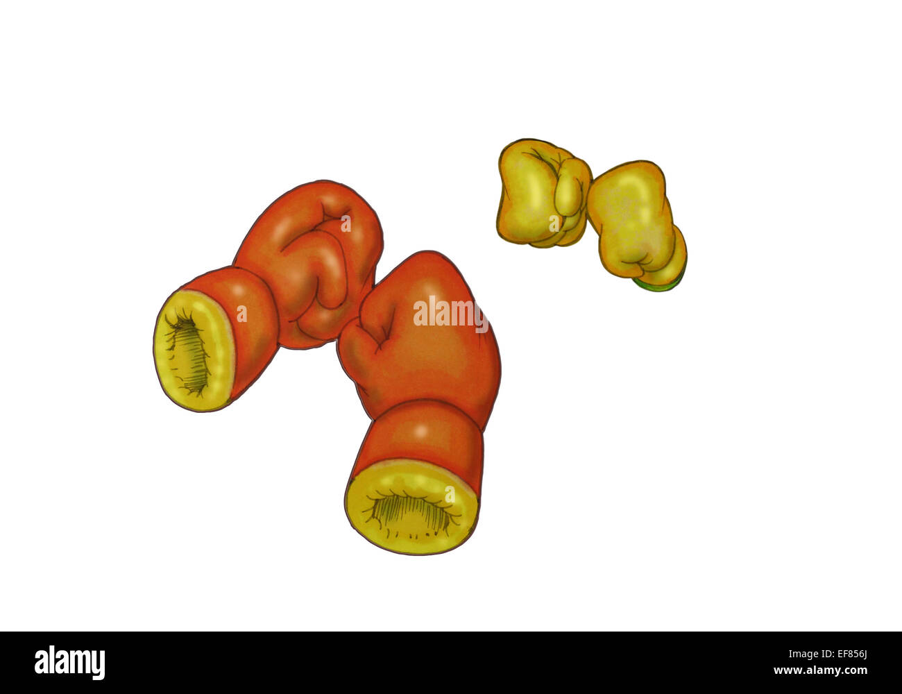 boxing gloves Cartoon illustration over white with clipping path Stock Photo