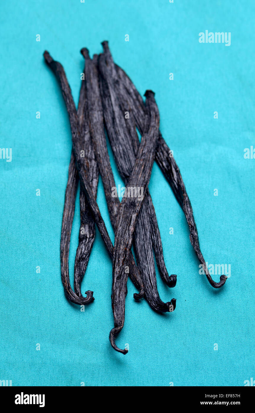 vanilla pods high resolution image Stock Photo Alamy