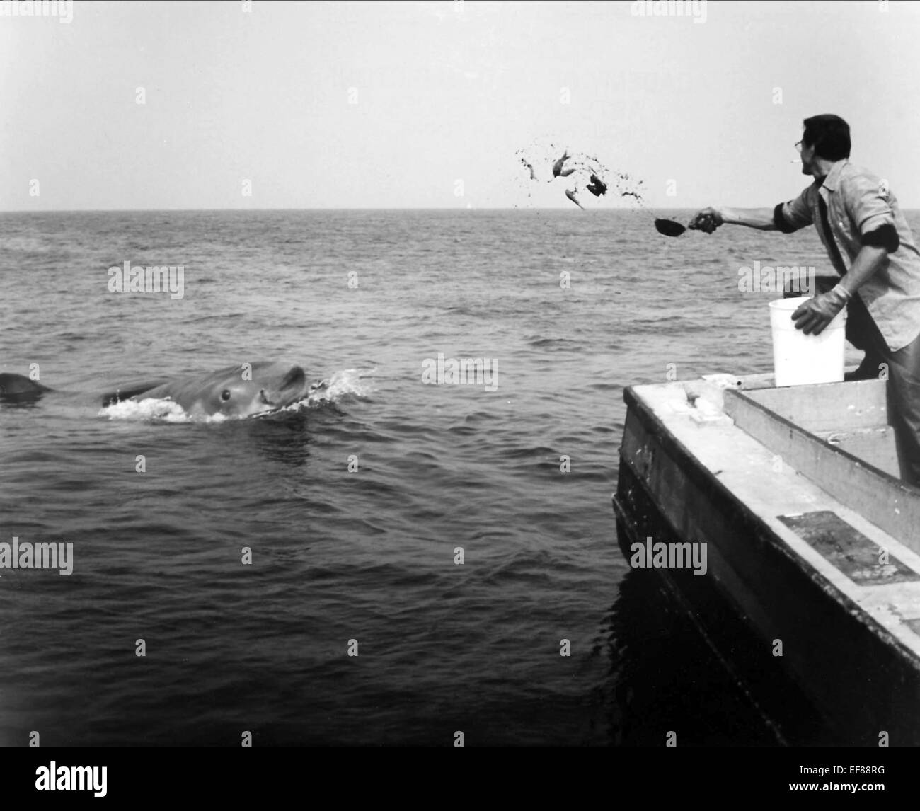 Jaws Steven Spielberg Black and White Stock Photos & Images Alamy
