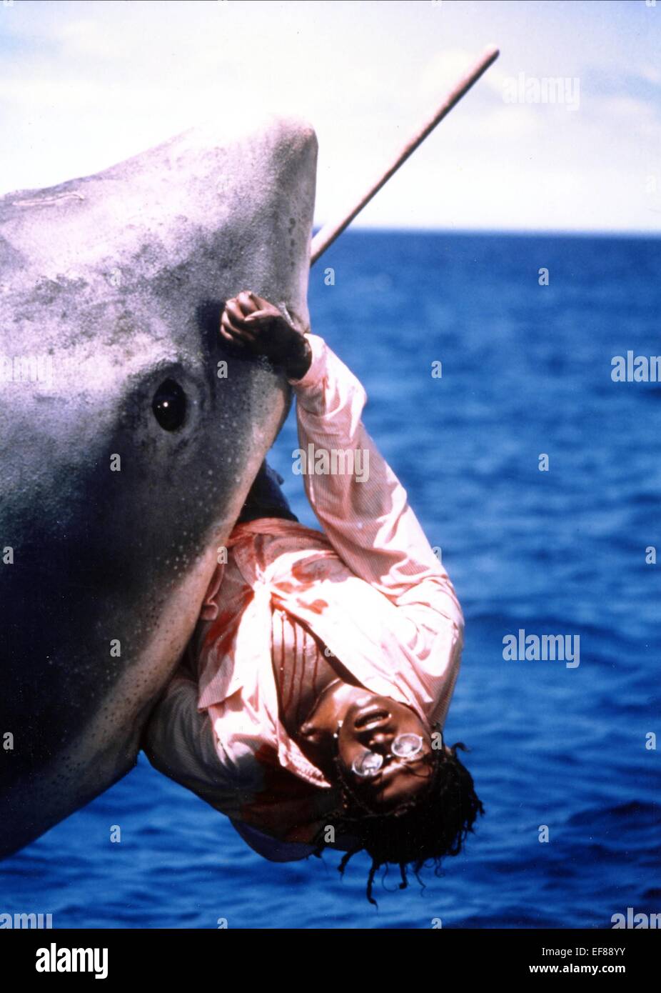 Film Jaws Shark 1975 High Resolution Stock Photography and Images - Alamy