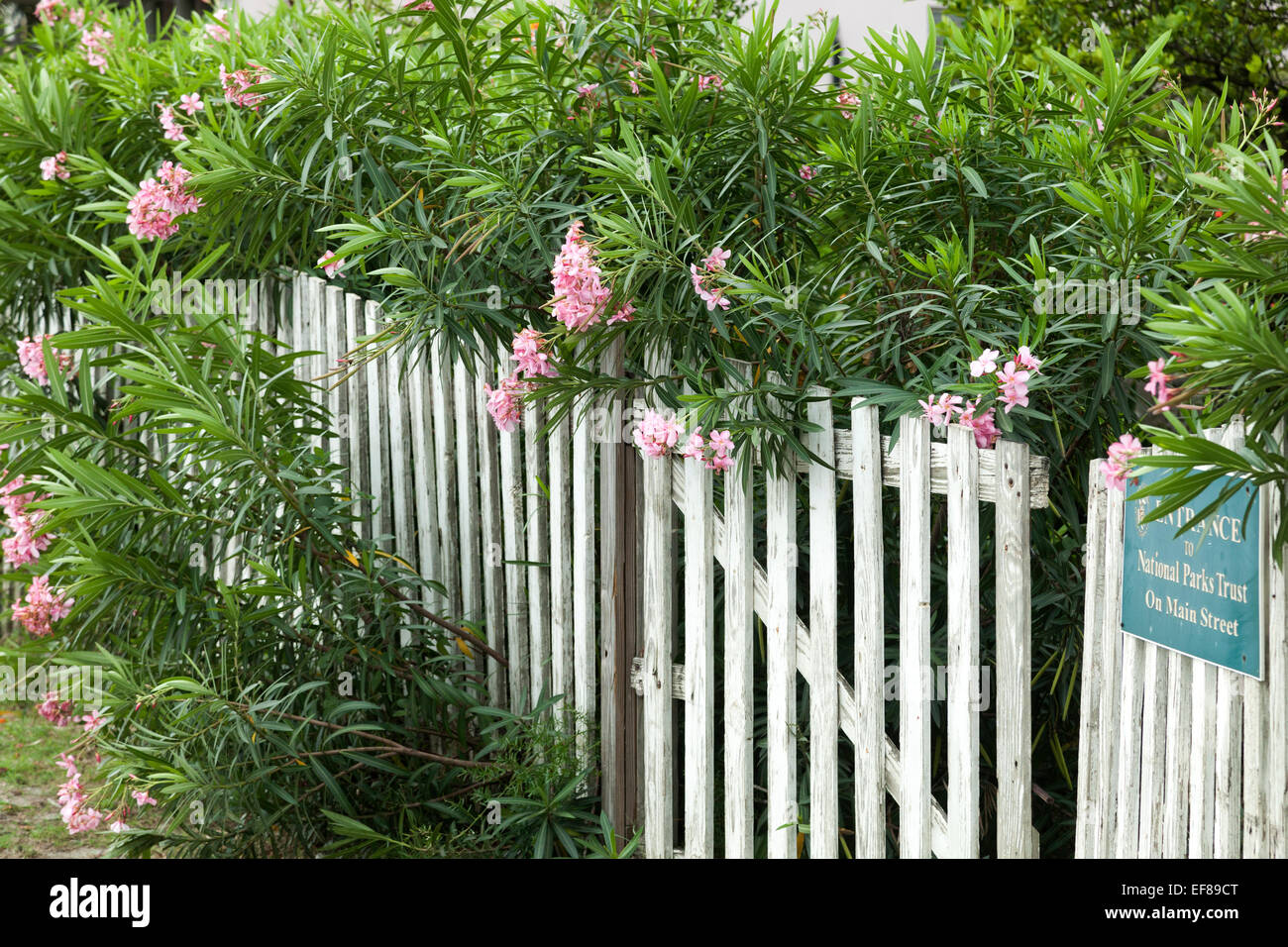 Picket fence gate hires stock photography and images Alamy