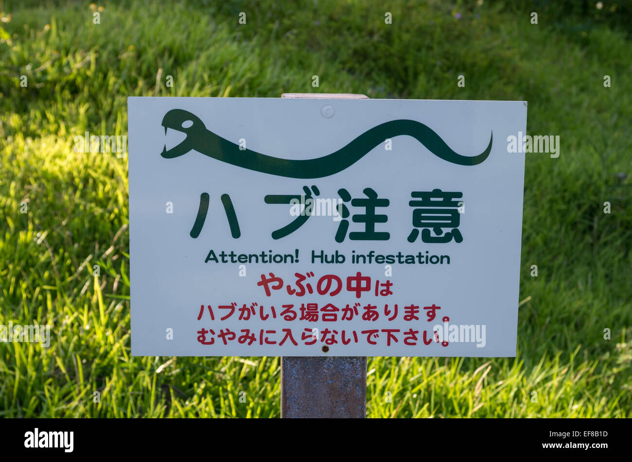 Japanese funny sign hi-res stock photography and images - Alamy Japanese funny sign hi-res stock photography and images - Alamy