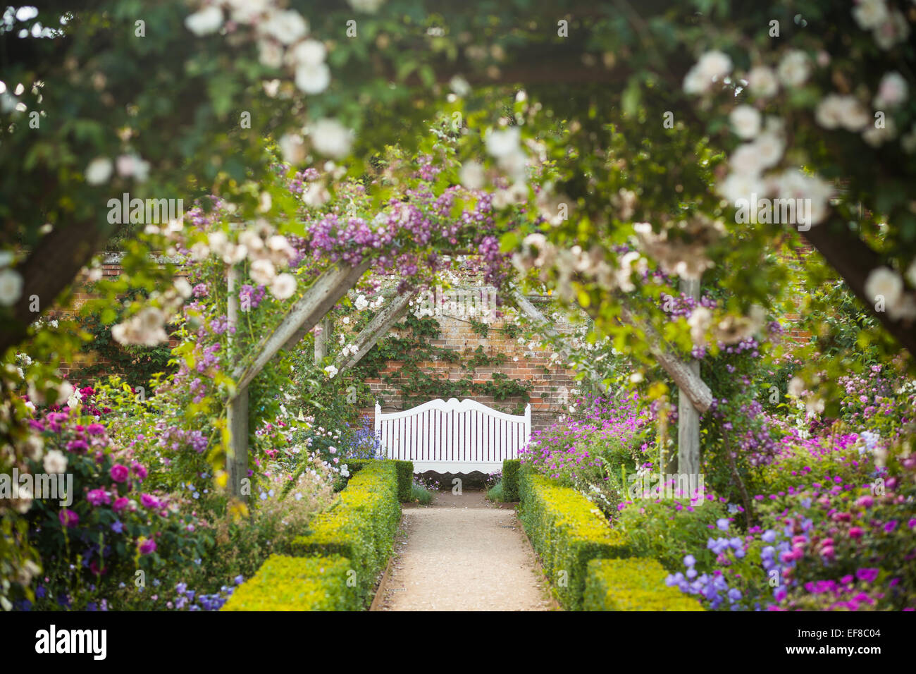 The walled rose garden at Mottisfont Abbey, Hampshire, England Stock