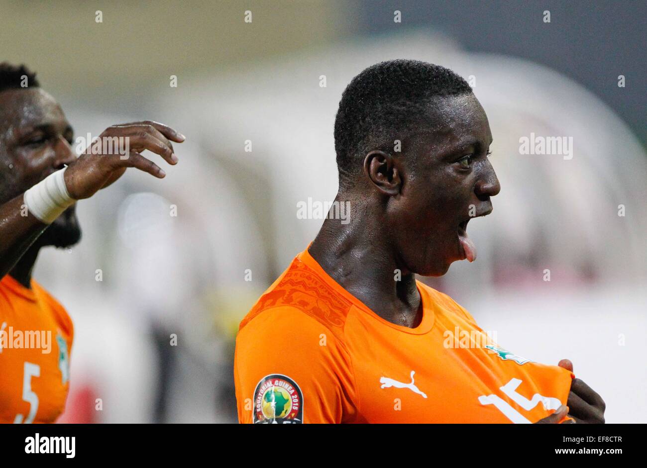 Malabo, Equatorial Guinea. 28th Jan, 2015. Max Alain Gradel (R) of Cote d'Ivoire celebrates his goal during the group match of Africa Cup of Nations against Cameroon at the Stadium of Malabo, Equatorial Guinea, Jan. 28, 2015. Cote d'Ivoire won 1-0. Credit:  Li Jing/Xinhua/Alamy Live News Stock Photo