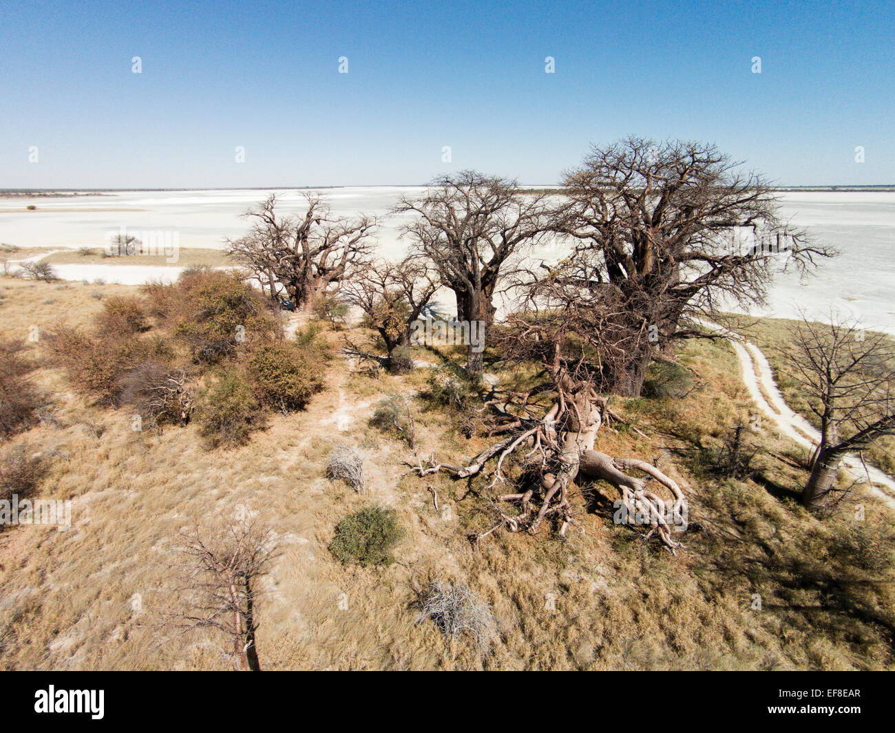 Makgadikgadi pan botswana aerial hires stock photography and images
