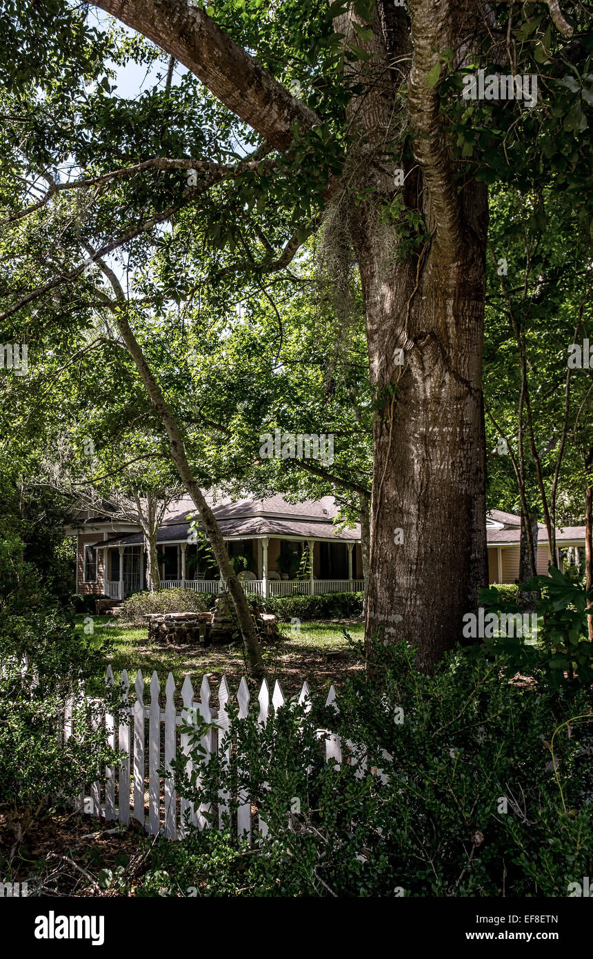 House in the woods in Point Clear AL Stock Photo Alamy