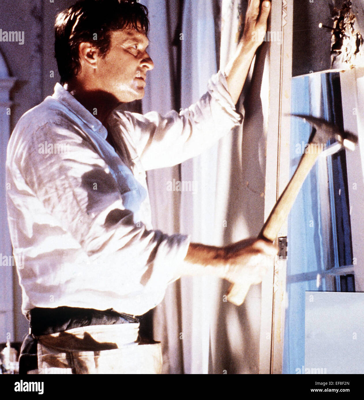 War Roses High Resolution Stock Photography and Images - Alamy