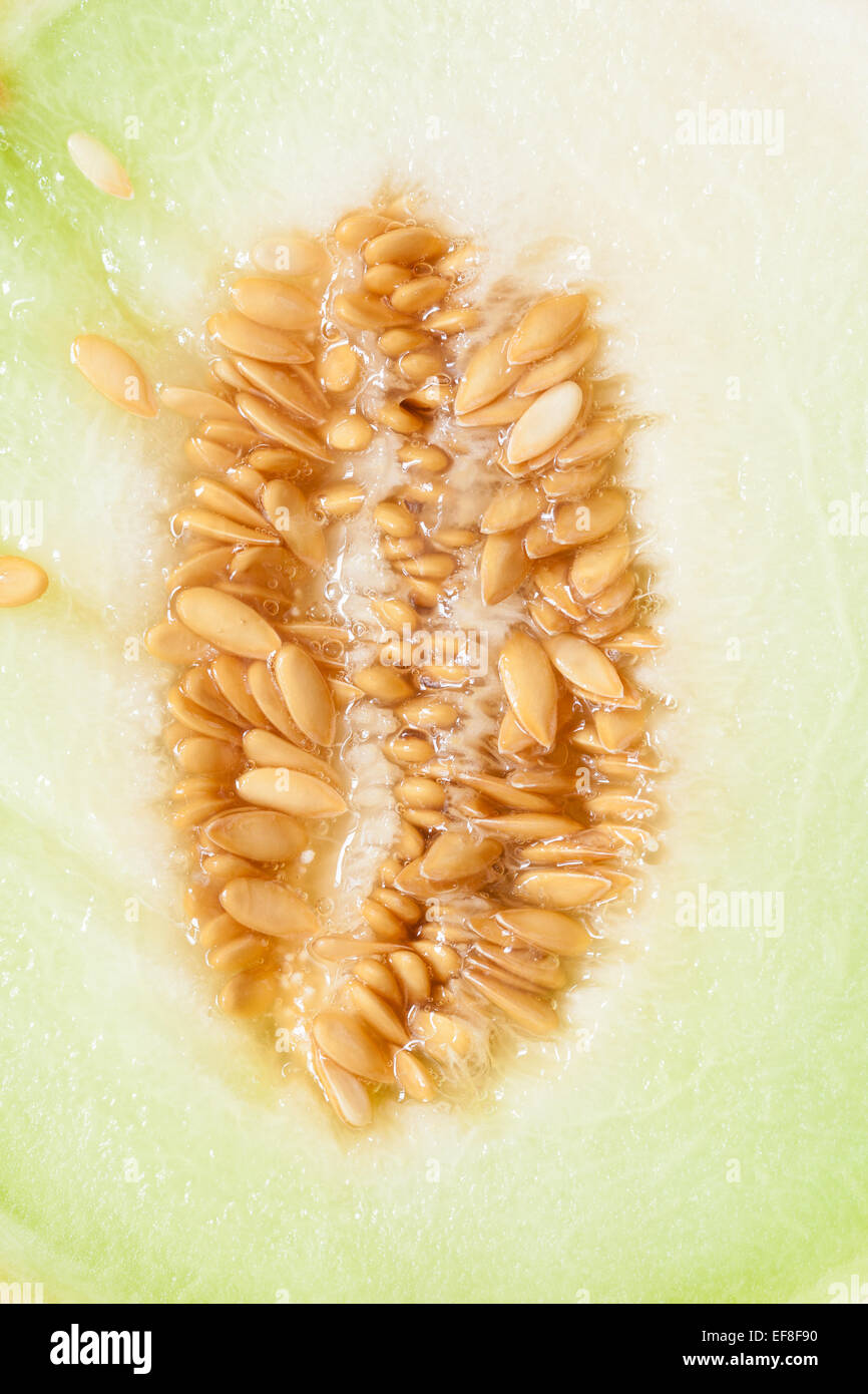 Closeup of melon with pips as food background. Fruit, diet and healthy nutrition Stock Photo Alamy