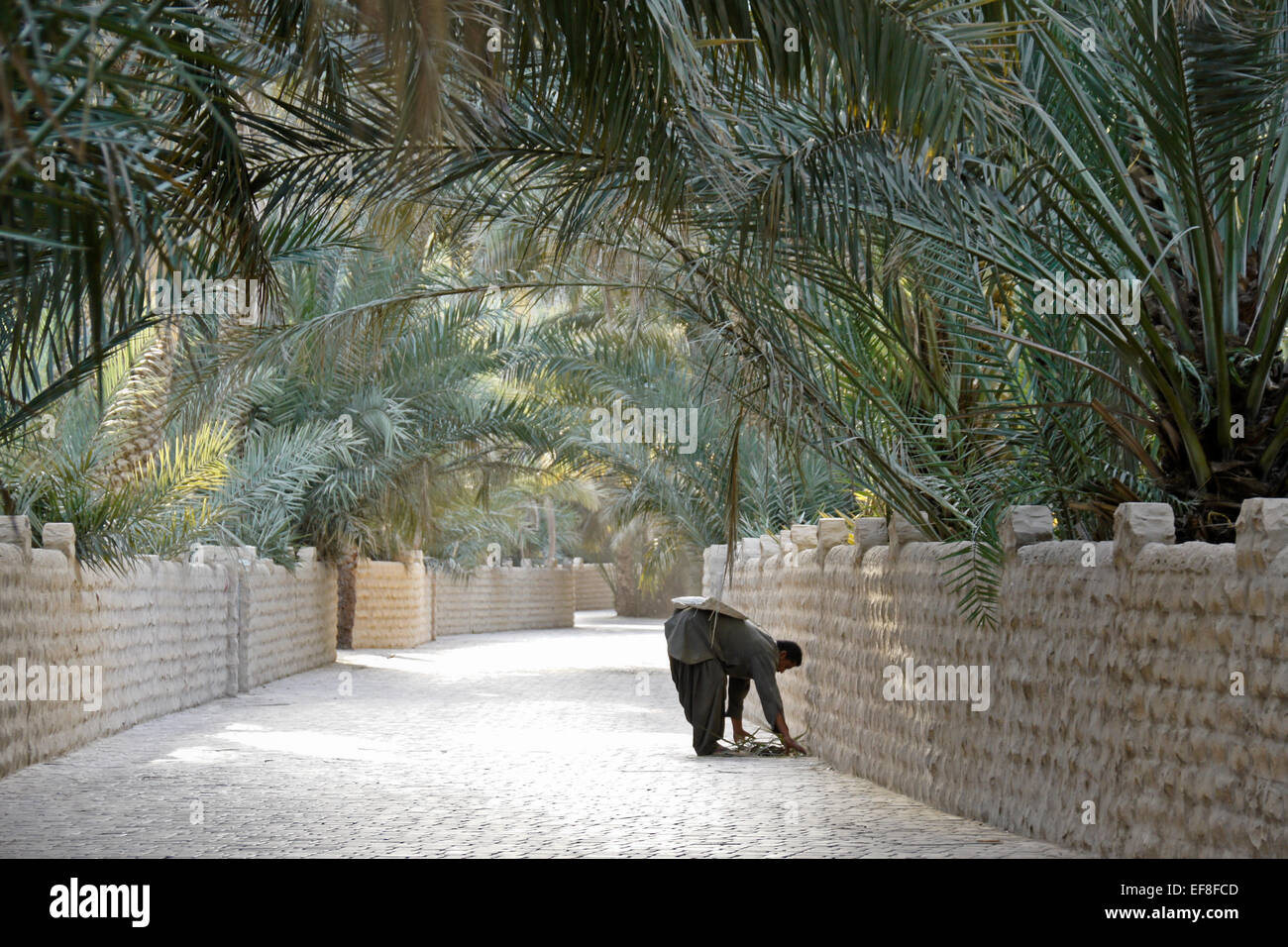 14 Top-Rated Tourist Attractions in Al Ain
