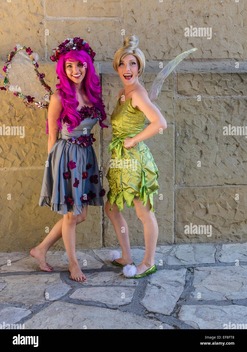 Fairy costume costumes hi-res stock photography and images - Alamy