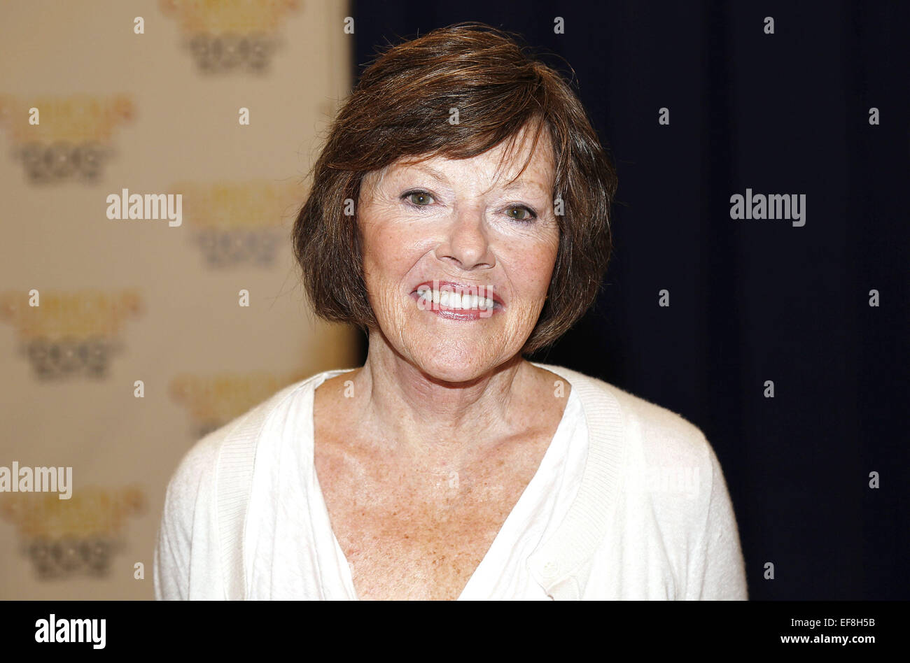 Meet and greet with the cast and creative team of the National Theatre production of The Curious Incident of the Dog in the Night-Time at the New 42nd Street Studios.  Featuring: Helen Carey Where: New York, New York, United States When: 25 Jul 2014 Stock Photo