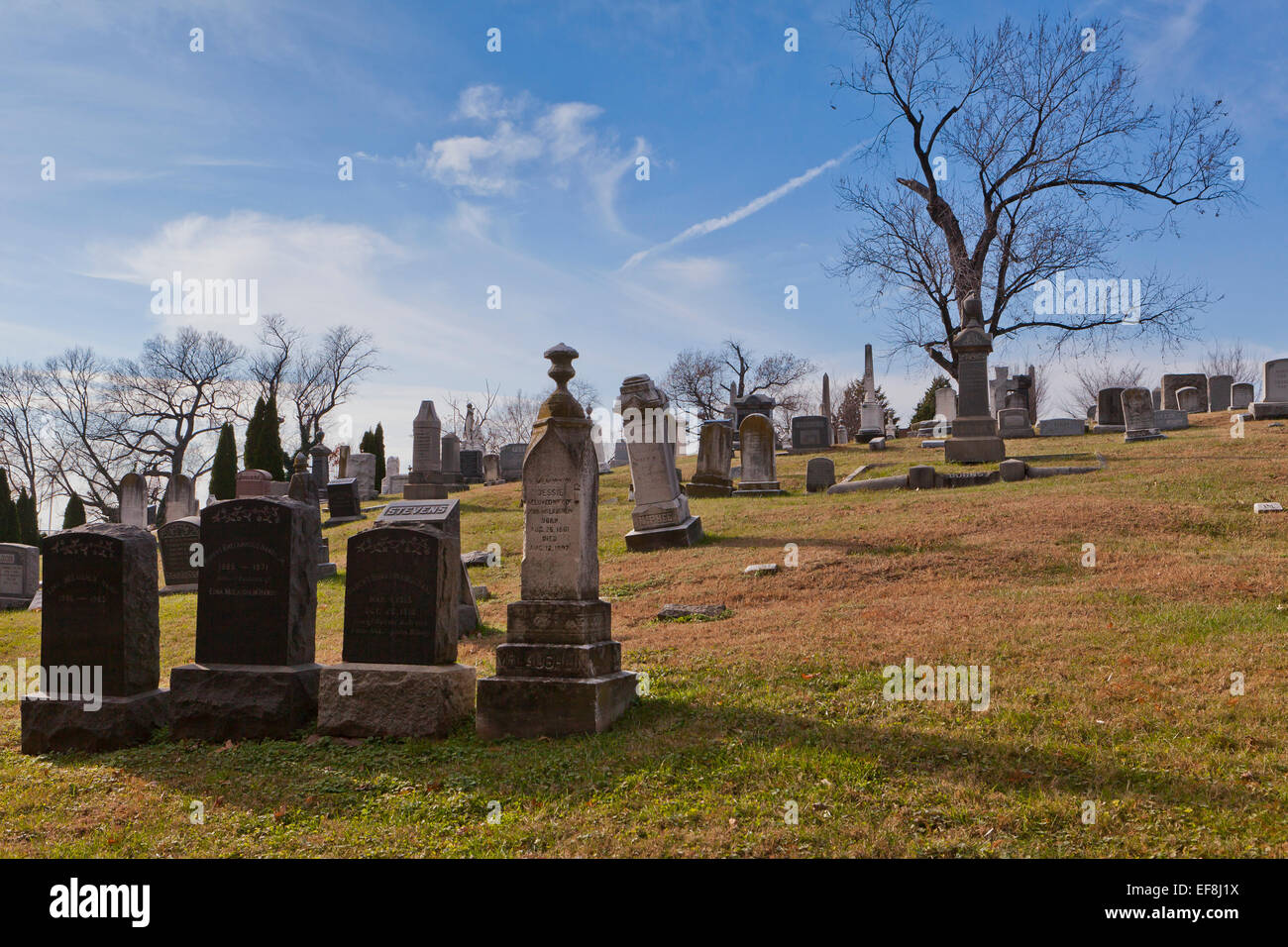 Congressional cemetery - Washington, DC USA Stock Photo
